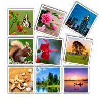 Live Wallpapers Animated, Background 3D/HD/4k 2020