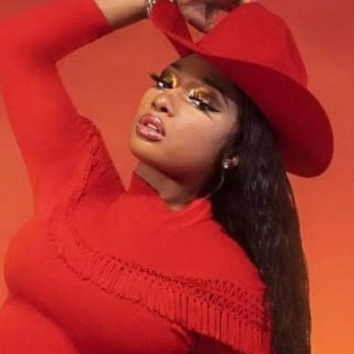 MEGAN THEE STALLION LATEST SONGS 2020 icon