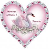 شات ليالي الخليج العربي on 9Apps