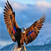 Conservative Connection Messenger icon