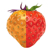 Control Your System *root* icon