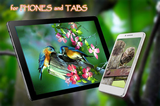 Любовь Птицы Живые Обои скриншот 6