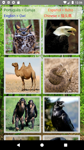 Animal Sounds screenshot 5