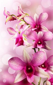 Flowers Live Wallpaper screenshot 6