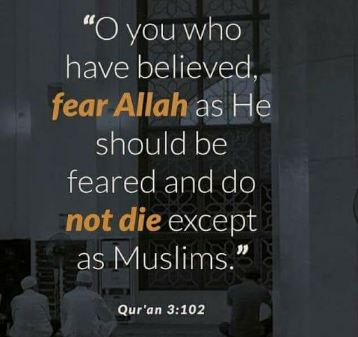 Best Life Muslim Quotes screenshot 1