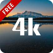 Pudding Wallpaper on 9Apps