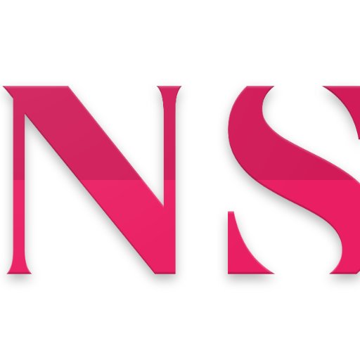 NS icon