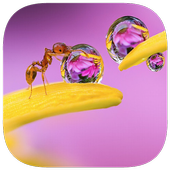 130 Photo Crosswords icon