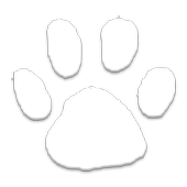 Googly Zoo icon