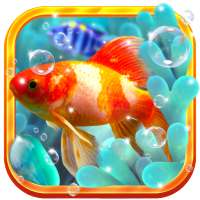 Aquarium Live Wallpaper 3D on 9Apps