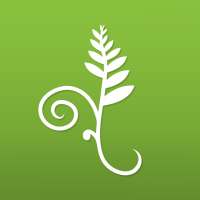 Koru Mindfulness on 9Apps