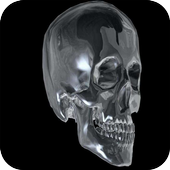 WIFI Password Free Prank icon