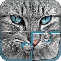 Duże puzzle z kotami