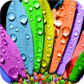 Water drops. Live Wallpapers icon
