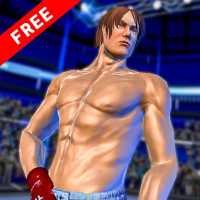 Fighting Star World Champion Game 3D