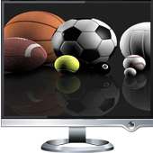 Live Sports TV Channels