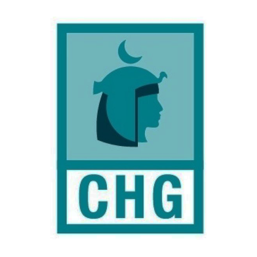 CHG Video Call icon