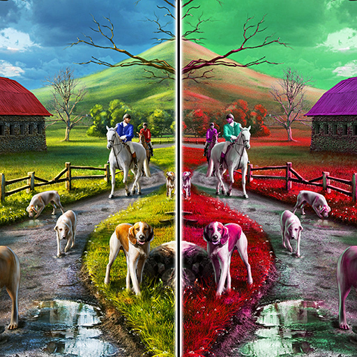 Find The Difference : Spot Difference #1 icon