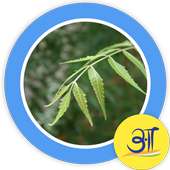 Neem Ayurveda Home Remedie नीम on 9Apps