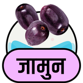 जामुन के फायदे आइकन