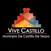 vive castillo icon