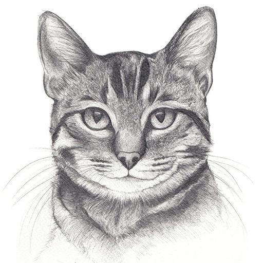 Animals Drawing icon