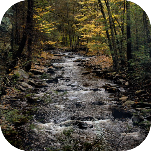 Delaware Local News icon