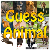 Guess Animal - What Animal am I Think icon
