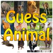 Guess Animal - What Animal am I Think on 9Apps