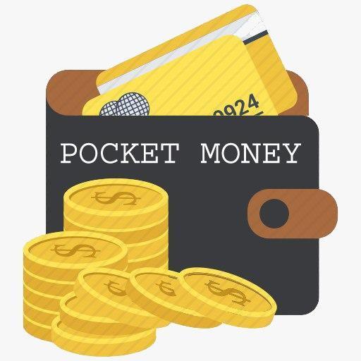 POCKET MONEY icon