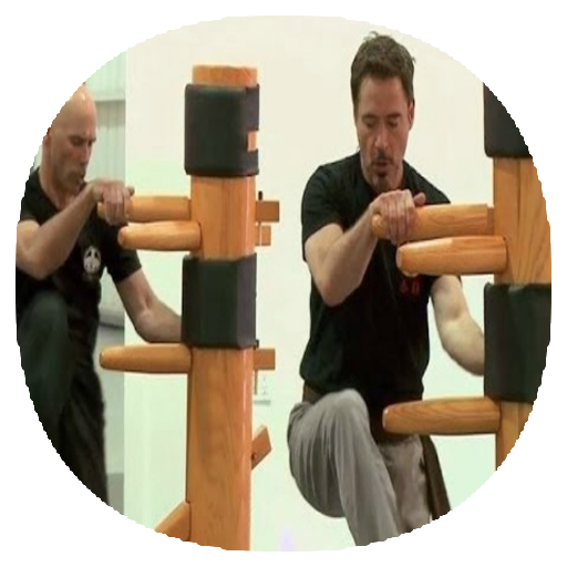 Wing chun techniques icon