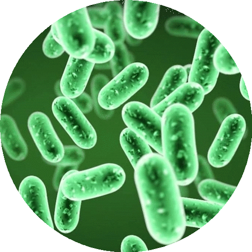 Microbiology Handbook icon