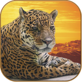 Jaguars Wallpapers icon