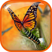 Insta Photo Blend Editor icon