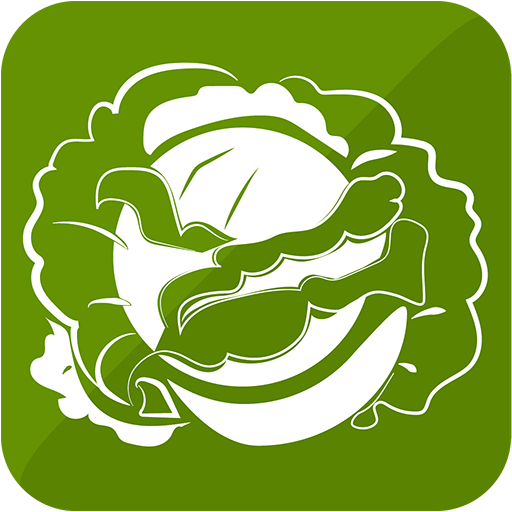 Cabbage Recipes icon