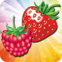 Fruit Mania Rush