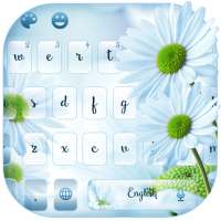 Blooming Daisy Flower on 9Apps