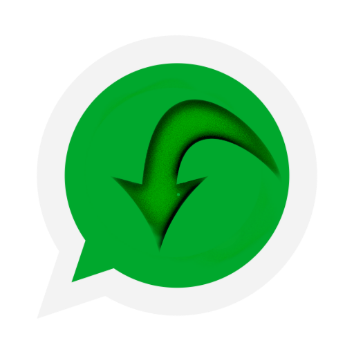 Story Saver 2021 icon