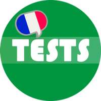 French Grammar Test