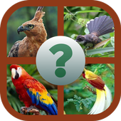 ikon TEBAK GAMBAR BURUNG