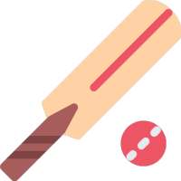 My Cricket Companion