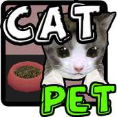 Cat Pet