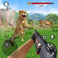 사자 사냥 3D Lion Hunting Challenge