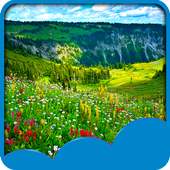 Meadow Live Wallpapers icon