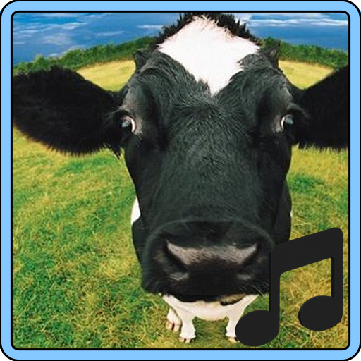 Cow Sounds icon