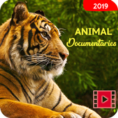🐘 Animal Documentaries Videos - Animal Video icon