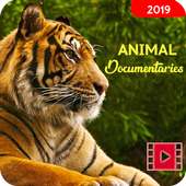 🐘 Animal Documentaries Videos - Animal Video on 9Apps