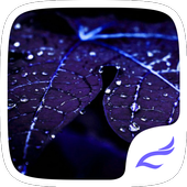 CM Launcher Purple Leaf Theme icon
