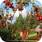 Como plantar frutas icon