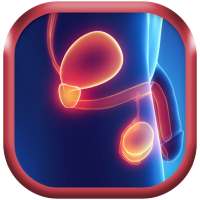 Comment prendre soin de sa prostate on 9Apps